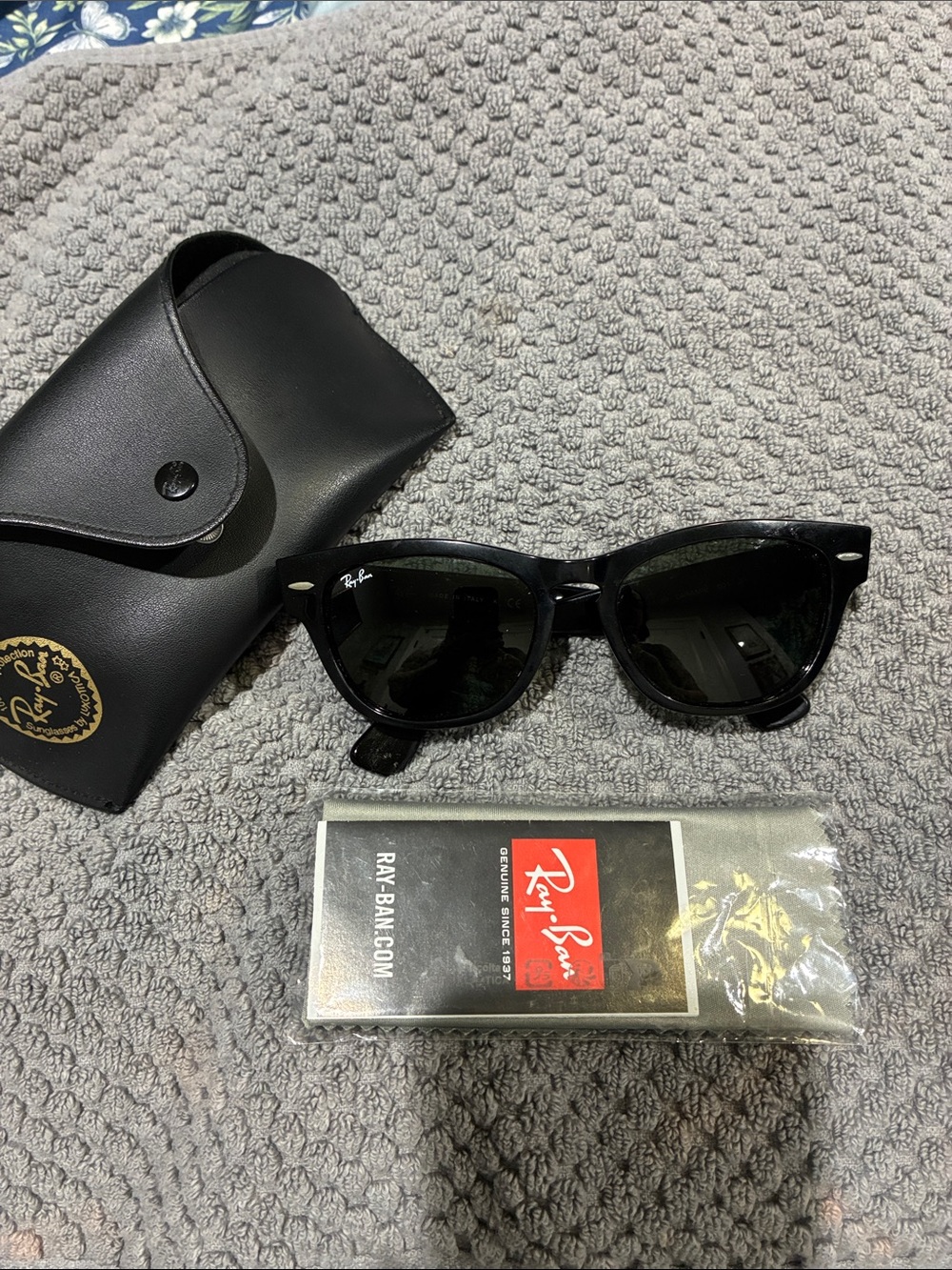 Ray-Ban Black Wayfarer Sunglasses 4169